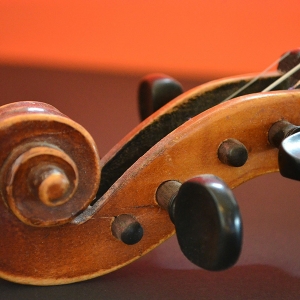 Violine